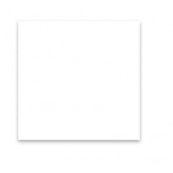 PAPEL ANTIGRASO 31x38cm - BLANCO (1000ud) BASKET