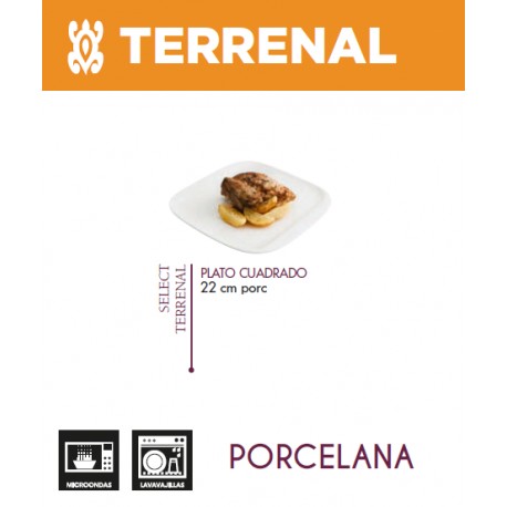 FUENTE CUADRADA PORCELANA BLANCA SERIE SELECT TERRENAL